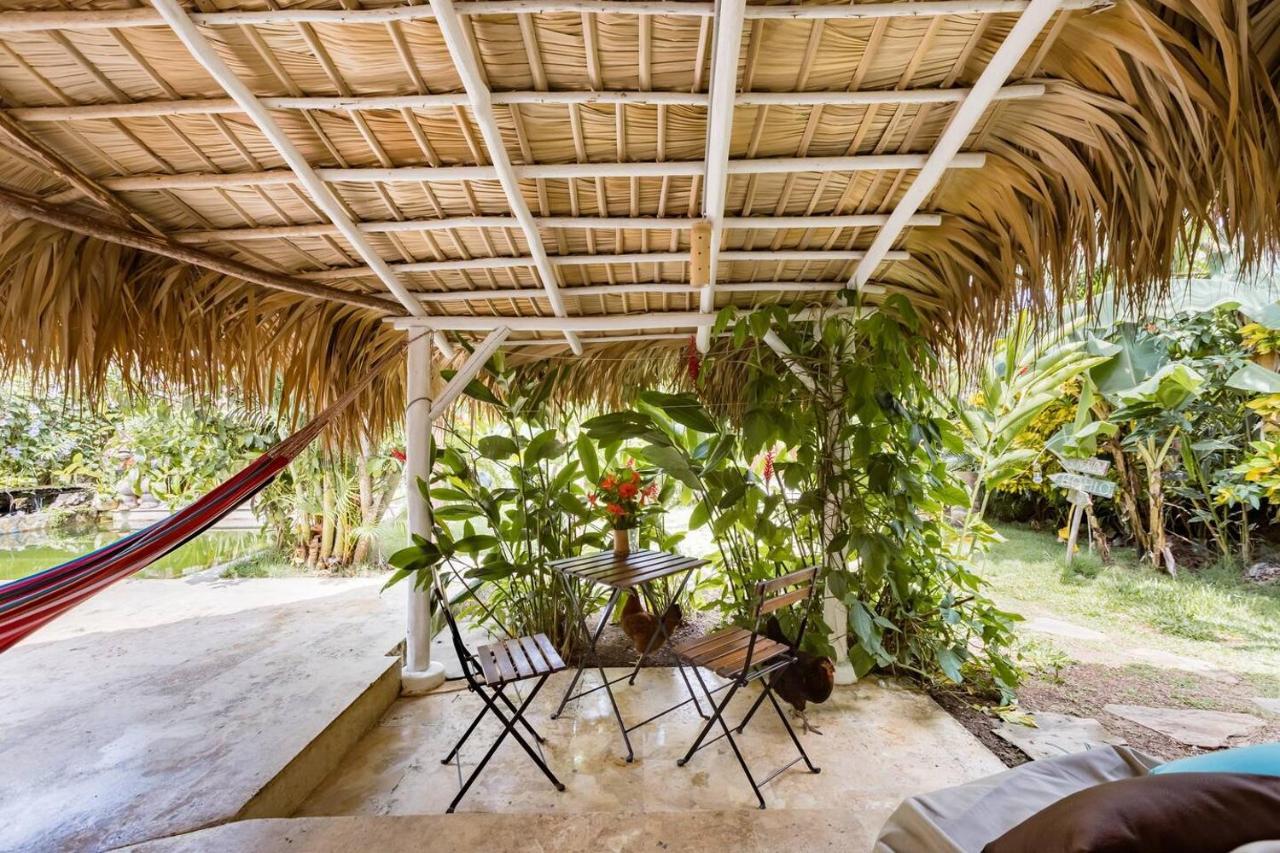 Bed and Breakfast Casa Picaflor Las Terrenas Exteriér fotografie