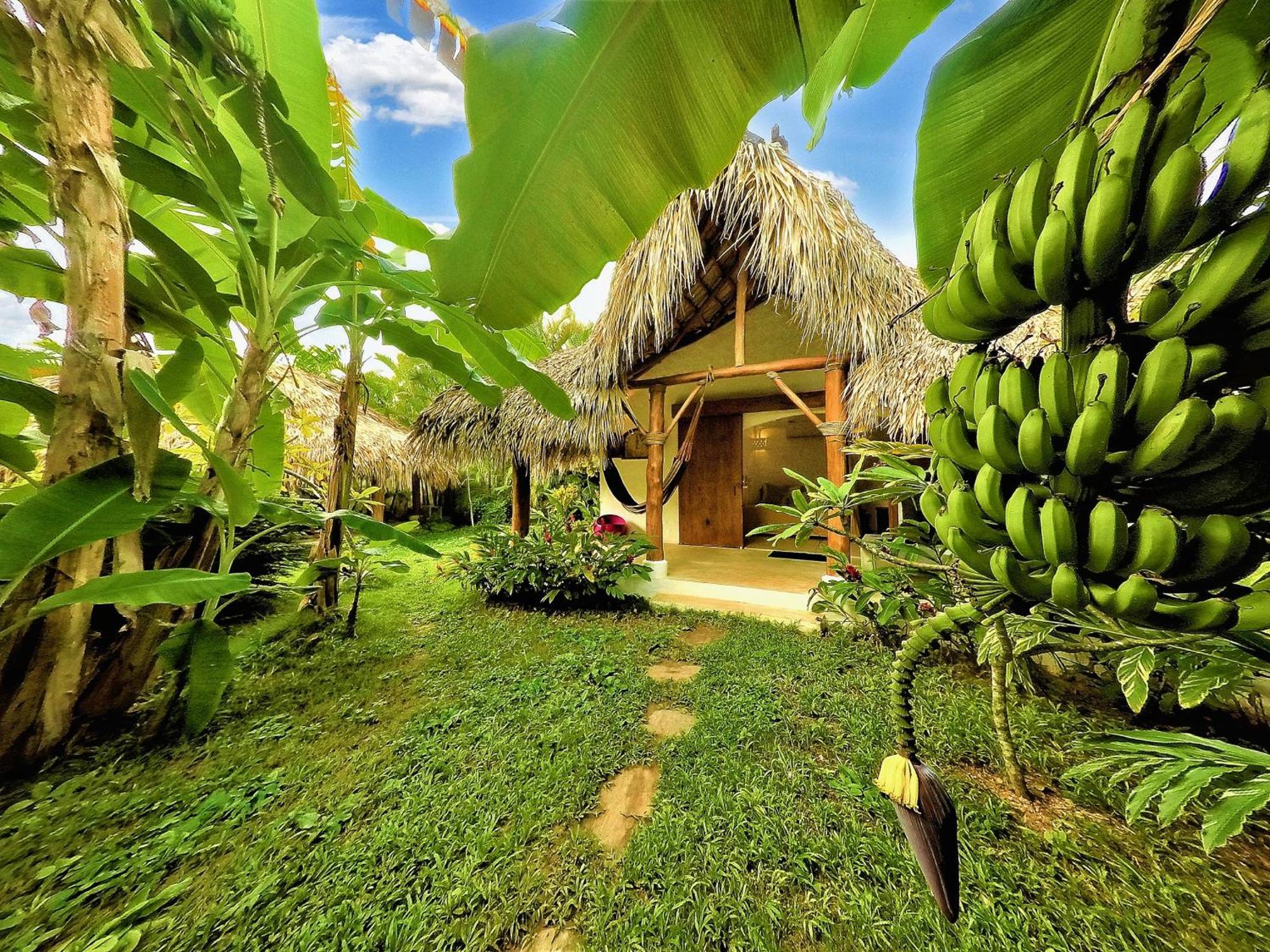 Bed and Breakfast Casa Picaflor Las Terrenas Exteriér fotografie